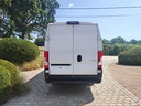 IMG20260725121259
